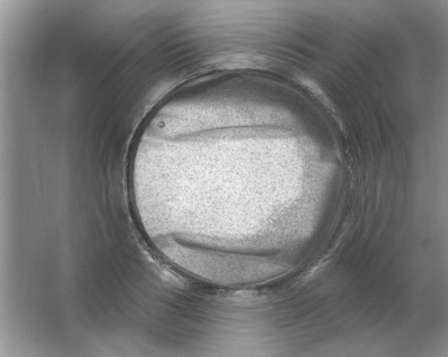 X0000063530986200602102013