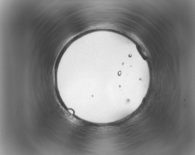 X0000063530988200602102013