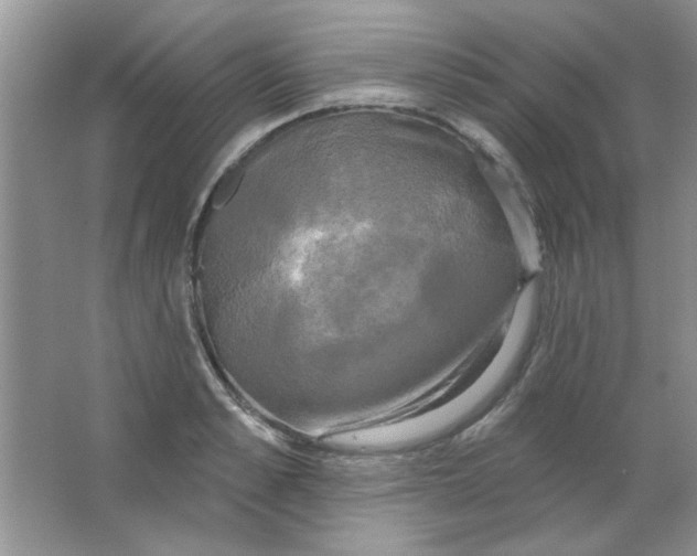 X0000063530989200602102013