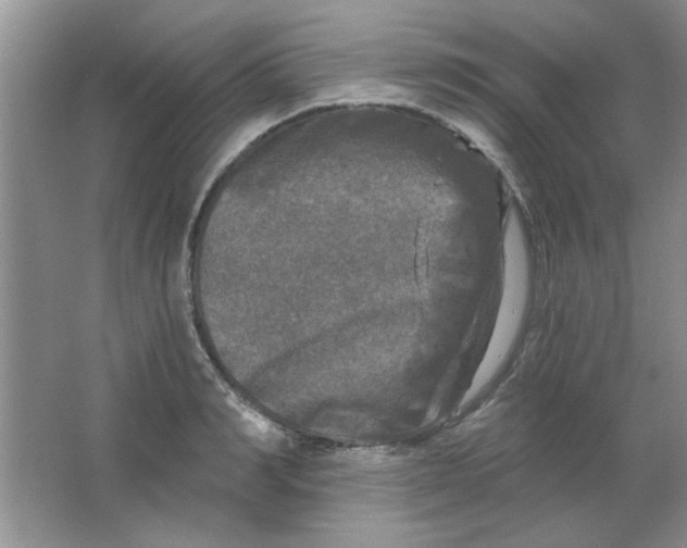 X0000063530990200602102013