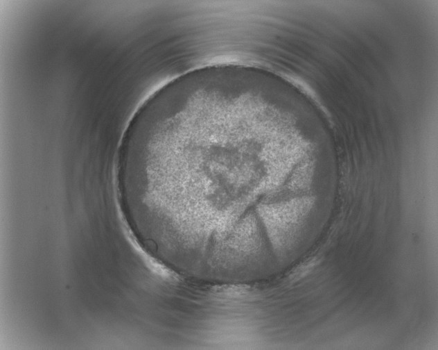 X0000063530991200602102013