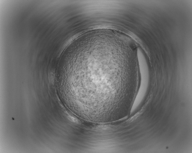 X0000063530993200602102013