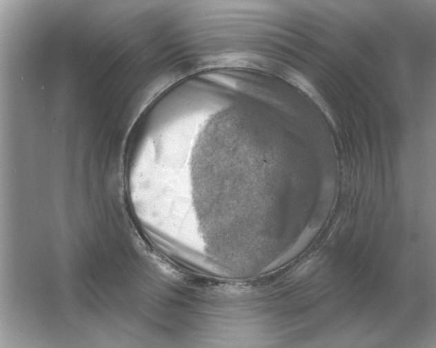 X0000063530994200602102013