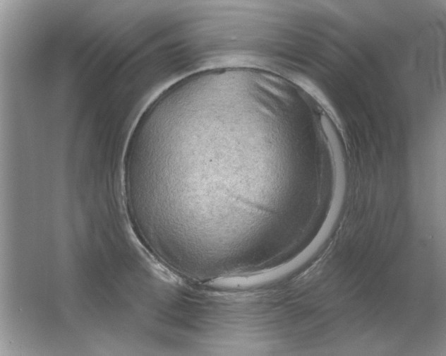 X0000063530996200602102013