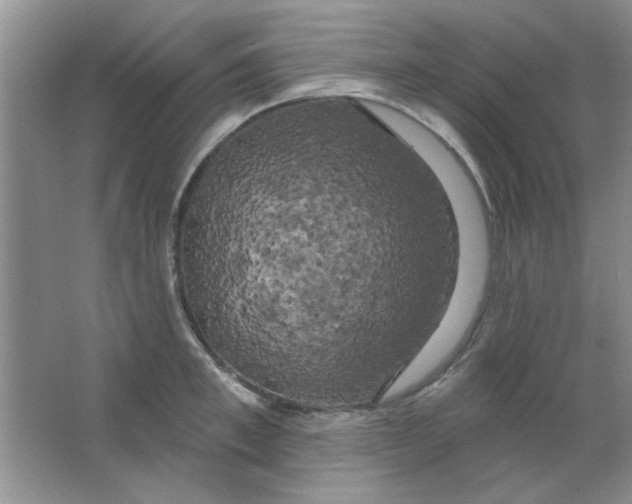 X0000063530997200602102013