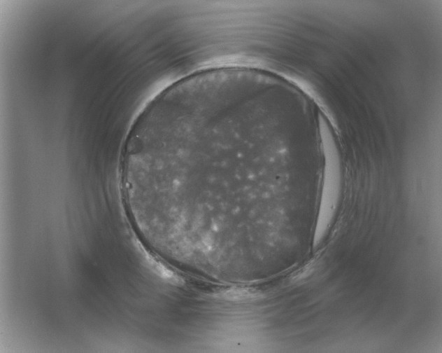 X0000063530998200602102013