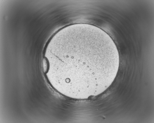 X0000063531000200602102013