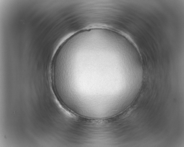 X0000063531003200602102012