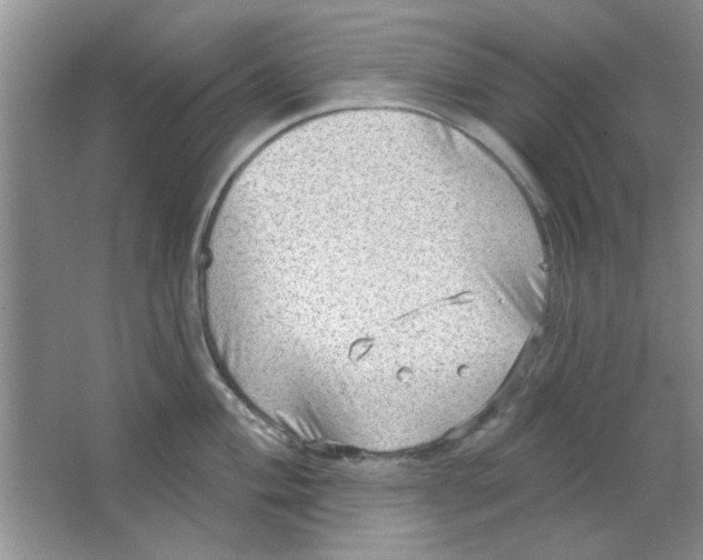 X0000063531004200602102012