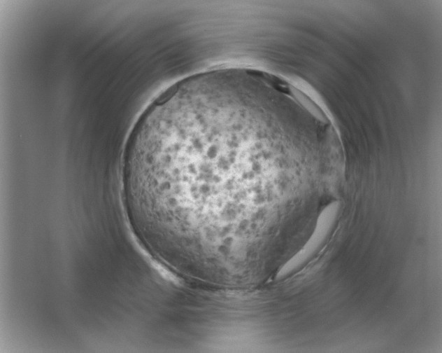 X0000063531005200602102012