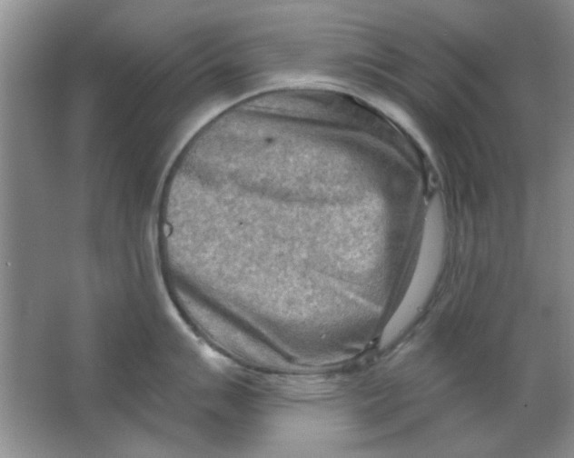 X0000063531007200602102012