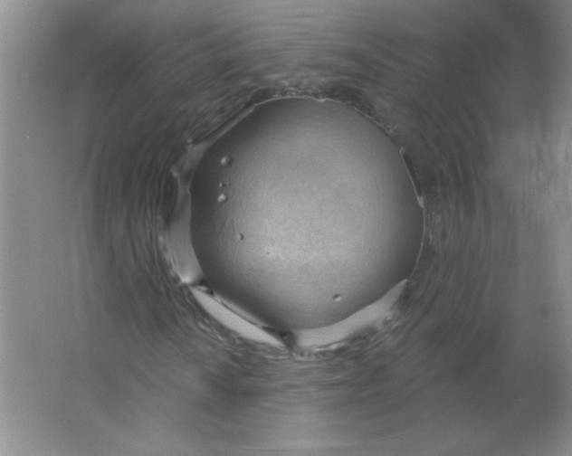 X0000063531010200602102012