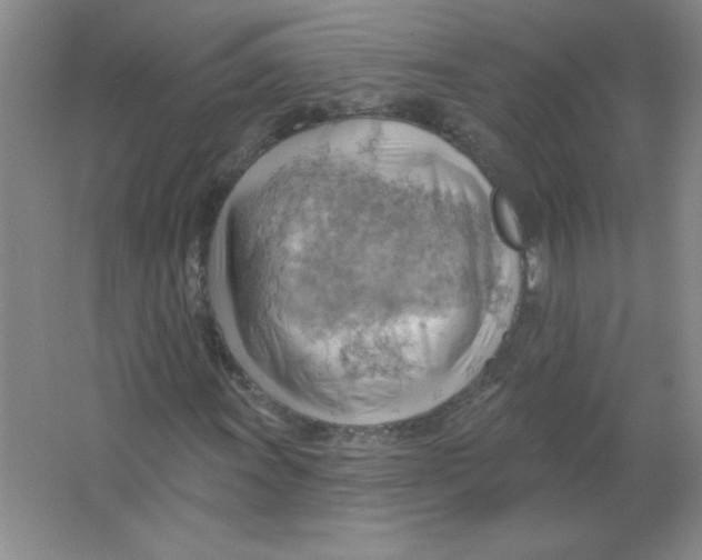 X0000063531011200602102012