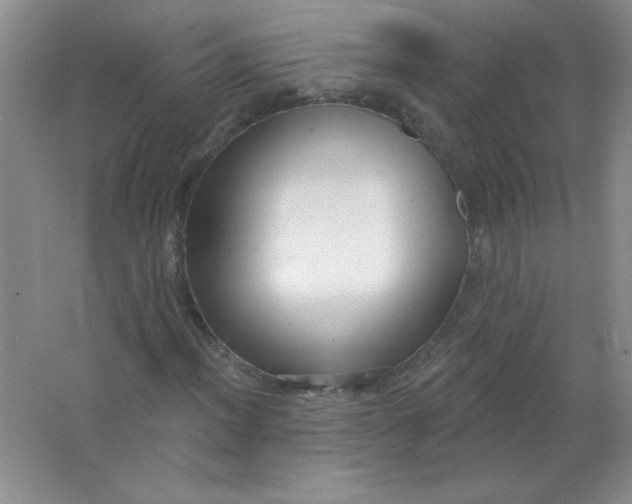 X0000063531012200602102012