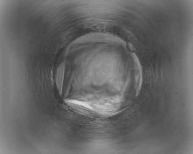 X0000063531013200602102012