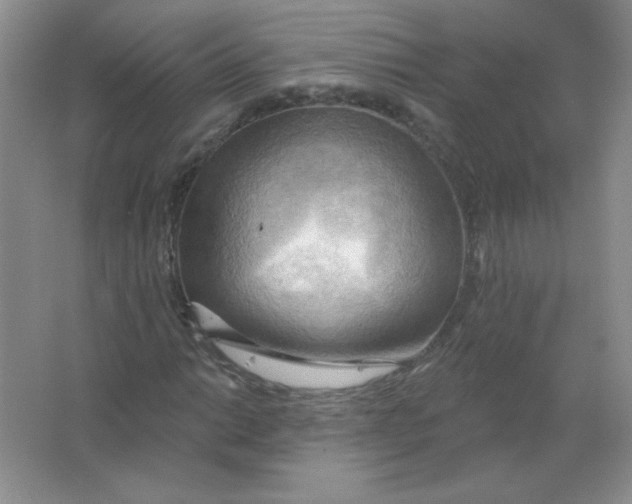 X0000063531014200602102012