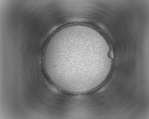 X0000063531017200602102012