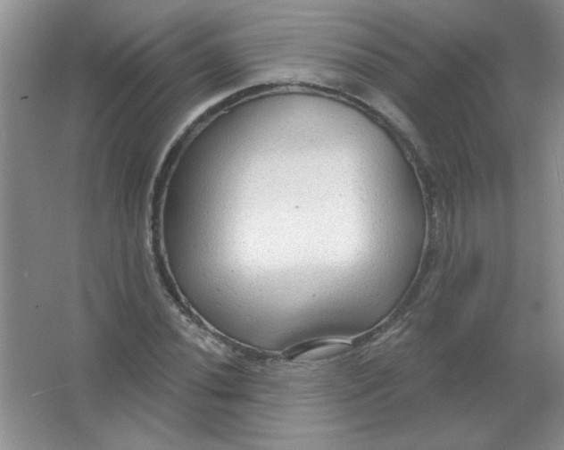 X0000063531020200602102012