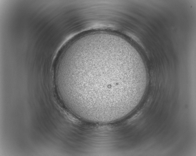 X0000063531021200602102012