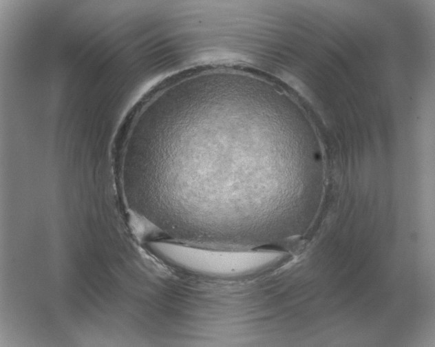 X0000063531022200602102012