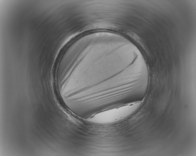 X0000063531024200602102012