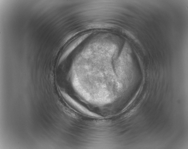 X0000063531025200602102012