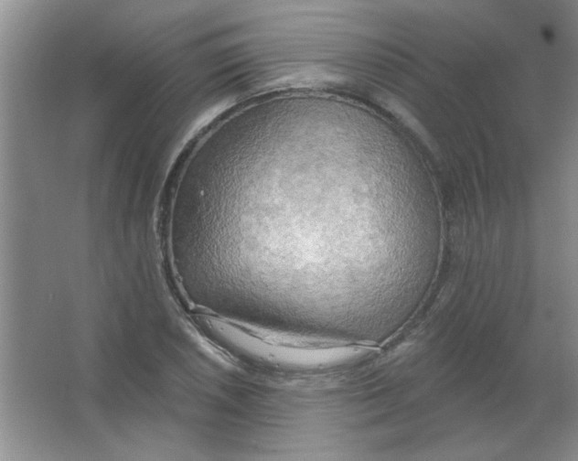 X0000063531026200602102012