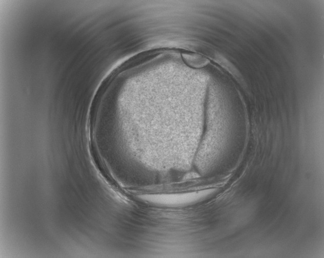 X0000063531028200602102012