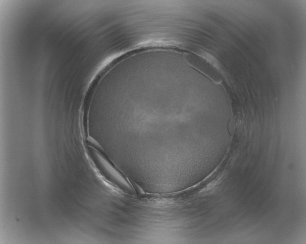 X0000063531030200602102012