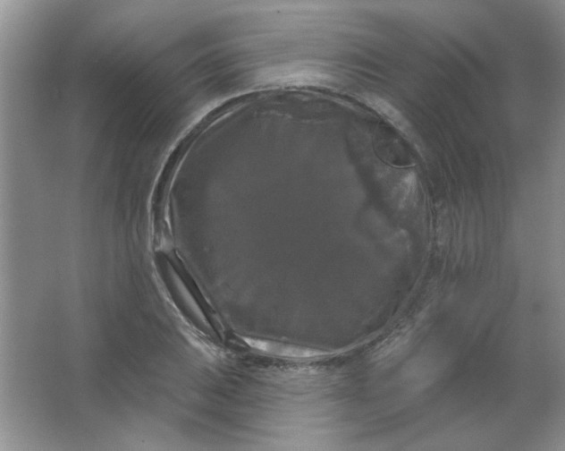 X0000063531031200602102012