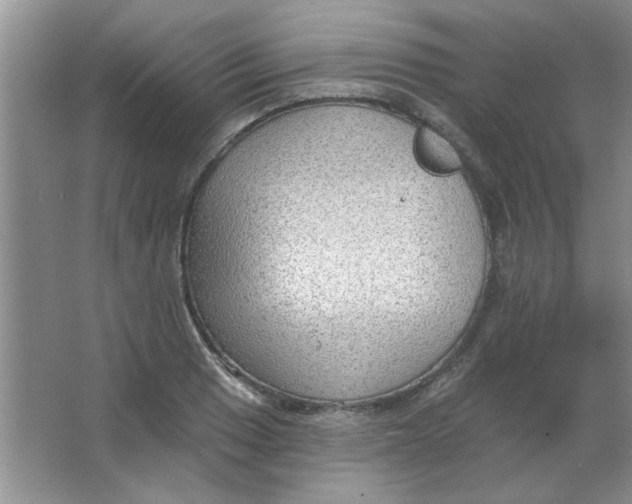 X0000063531033200602102012