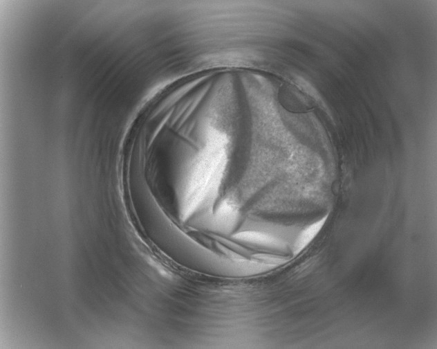 X0000063531035200602102012