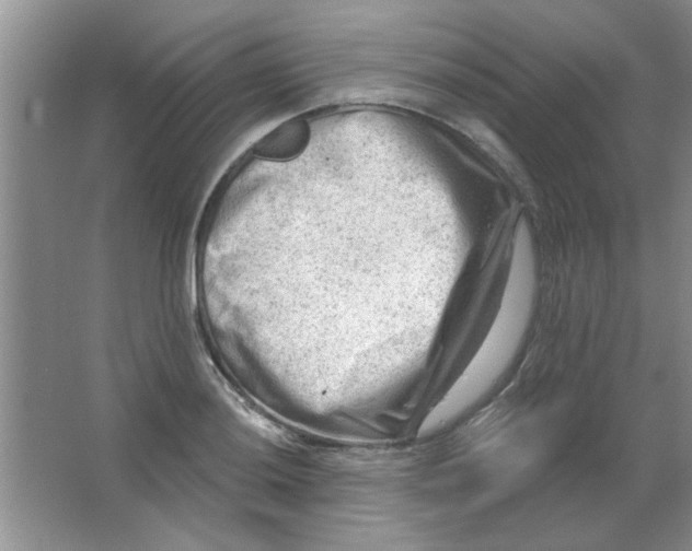 X0000063531036200602102012