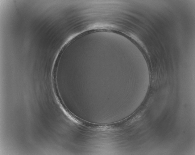 X0000063531037200602102012