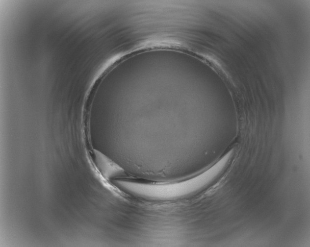 X0000063531038200602102012