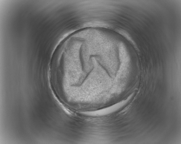 X0000063531040200602102012