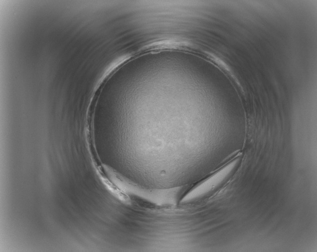 X0000063531042200602102012