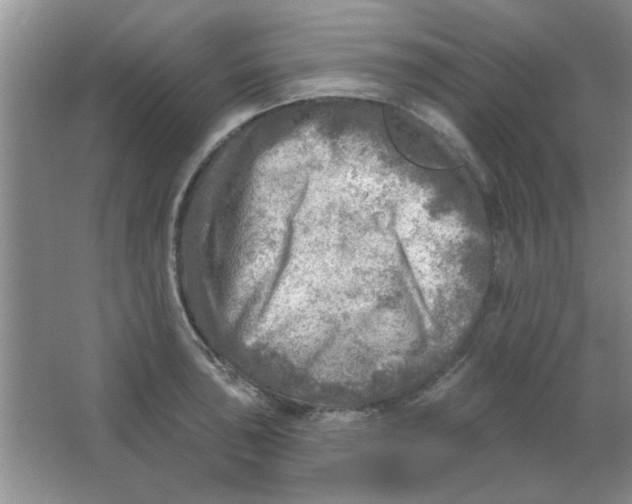 X0000063531043200602102012