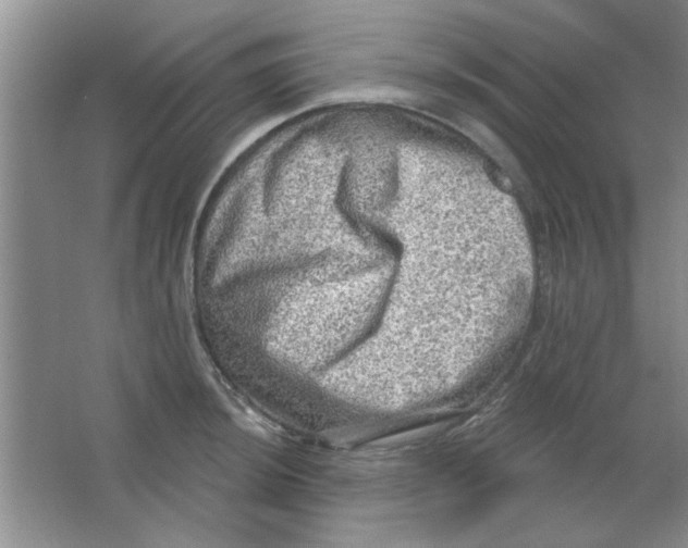 X0000063531044200602102012