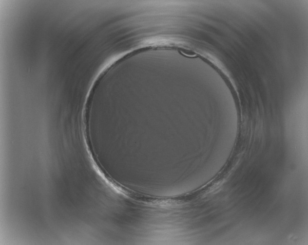 X0000063531045200602102012