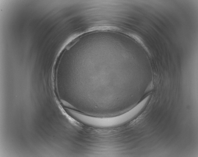 X0000063531046200602102012