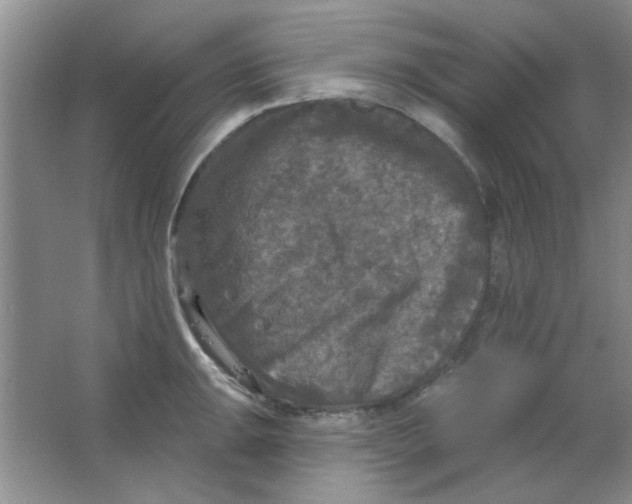 X0000063531047200602102012