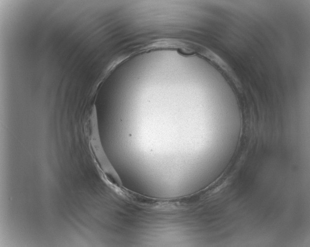 X0000063531049200602102012