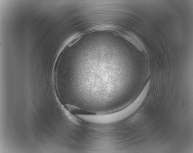 X0000063531050200602102012