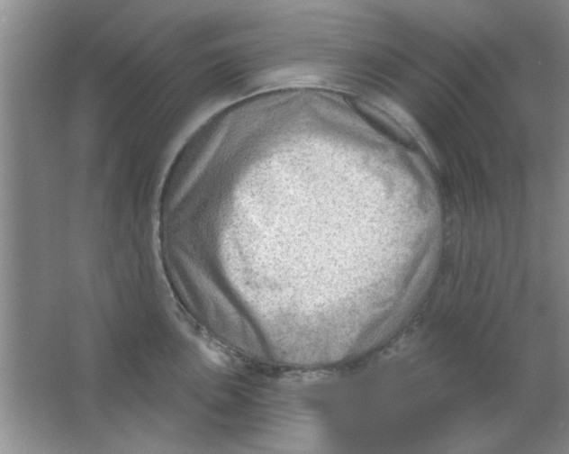 X0000063531051200602102012