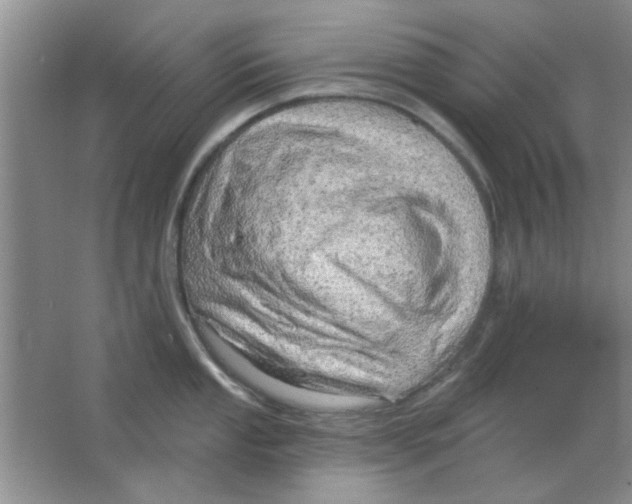 X0000063531053200602102012