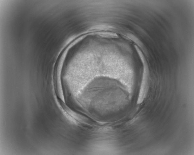 X0000063531055200602102012