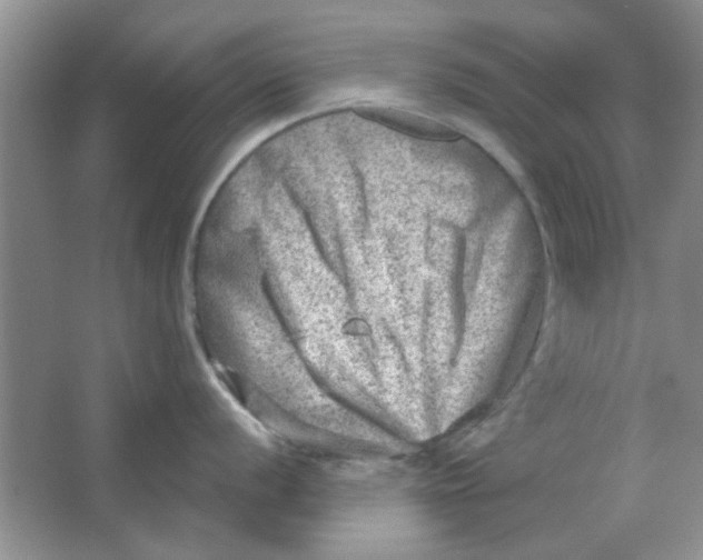 X0000063531056200602102012