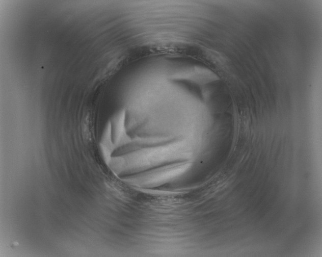 X0000063531060200602102012