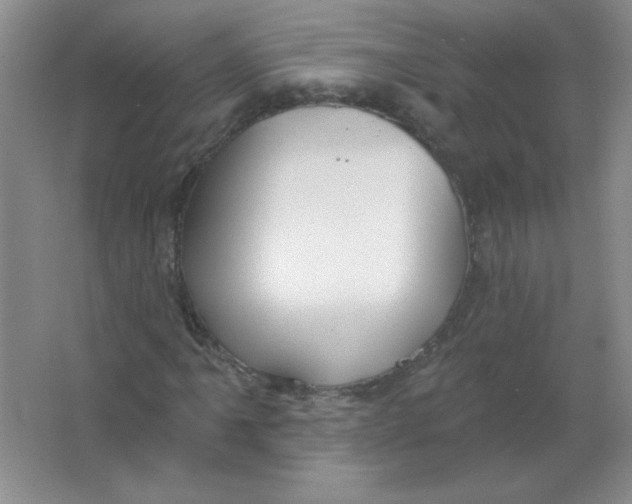 X0000063531061200602102011